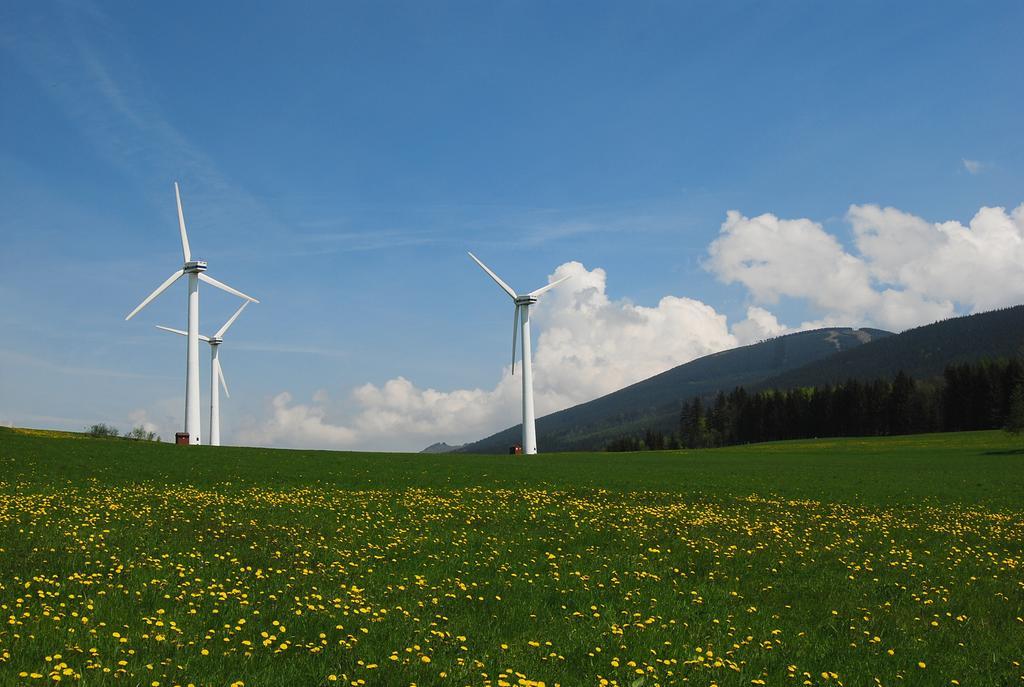 Rodinny Penzion Skiland Ostružná Exteriör bild